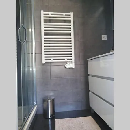 Apartment Moneghetti *