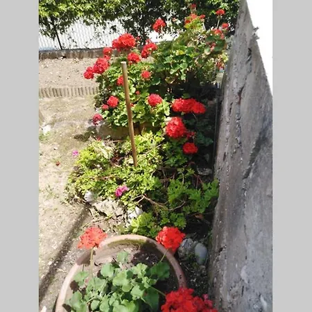 아파트 Moneghetti 보솔레이