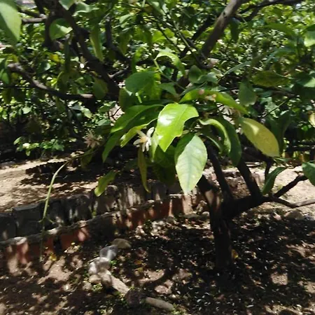 דירה Moneghetti בוסוליי