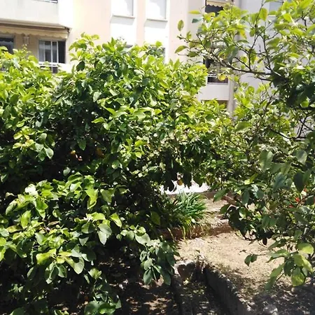 Moneghetti 아파트 *