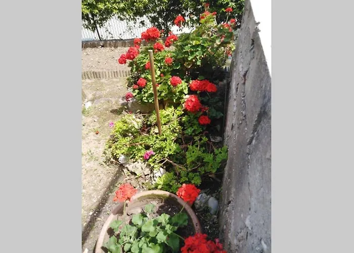 Apartamento Moneghetti Beausoleil