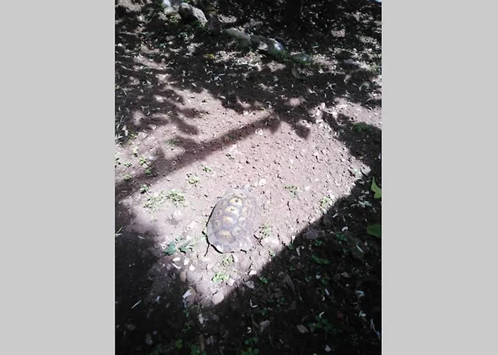 Moneghetti Apartamento Beausoleil